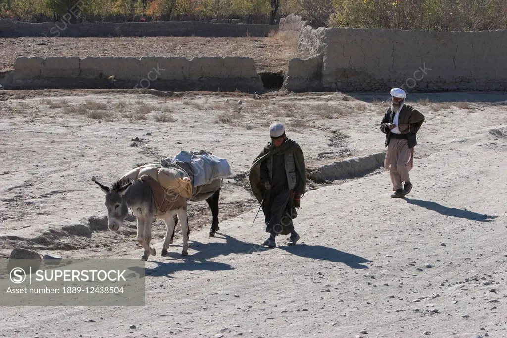 Afghan Men And Donkeys In The Siagerd Valley, Parwan Province, Afghanistan