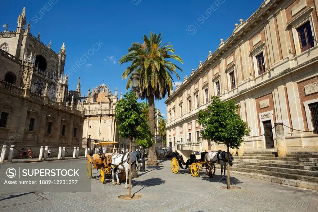 Horse and carriage outside of Seville Cathedral; Seville, Spain