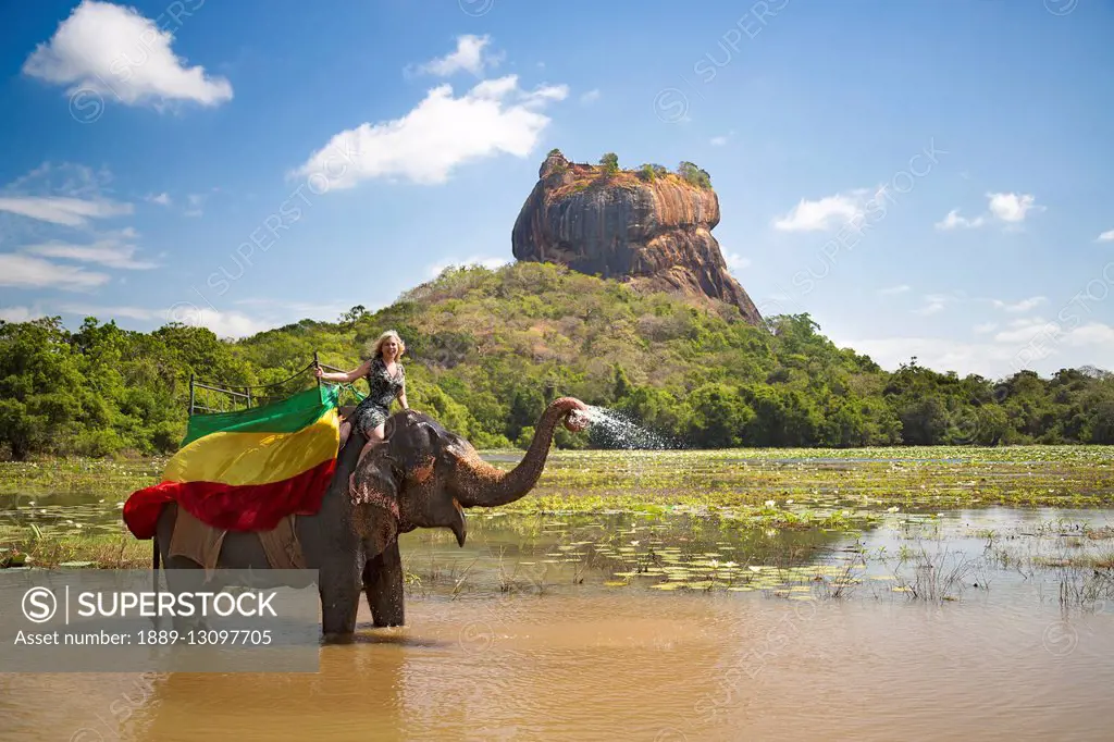 A woman on a Sri Lankan elephant (Elephas maximus), Sigiriya, an ancient palace located in the central Matale District near the town of Dambulla in th...