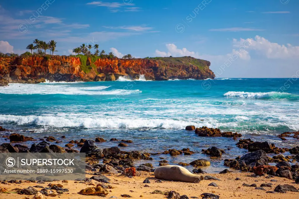 Colourful coastline with palm trees and the Pacific Ocean washing up on a beach of a Hawaiian island; Hawaii, United States of America