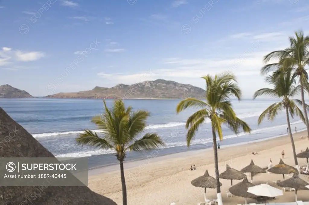 High angle view of sandy beach with palm trees; Mazatlan, Sinaloa State, Mexico
