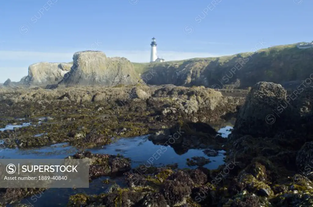 Low Tide at Yaquina Head Lighthouse; Yaquina Head Outstanding Natural Area, Newport, Oregon, USA