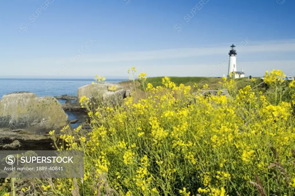 Yaquina Head Lighthouse; Yaquina Head Outstanding Natural Area, Newport, Oregon, USA