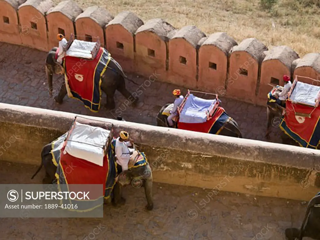 four mahouts riding on their elephants at Amber Fort; Amber, Jaipur, Rajasthan, India