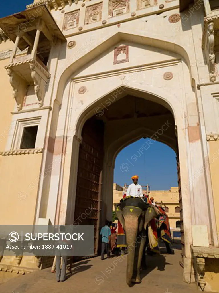 Mahouts riding their elephants trough gate at Amber Fort; Amber, Jaipur, Rajasthan, India