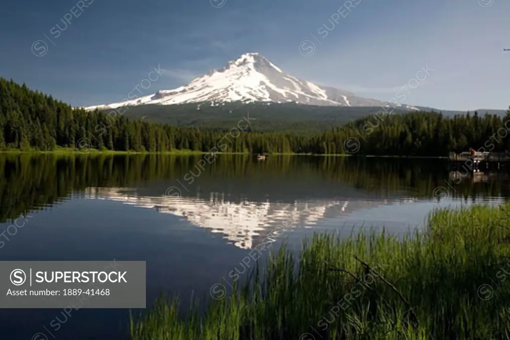 Mt. Hood reflects in Trillium Lake; Mt Hood National Forest, Oregon, USA