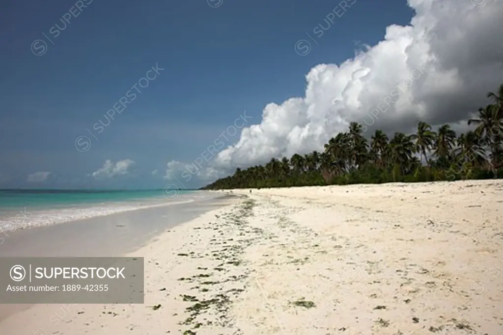 Indian Ocean, Zanzibar, Tanzania; Tropical beach