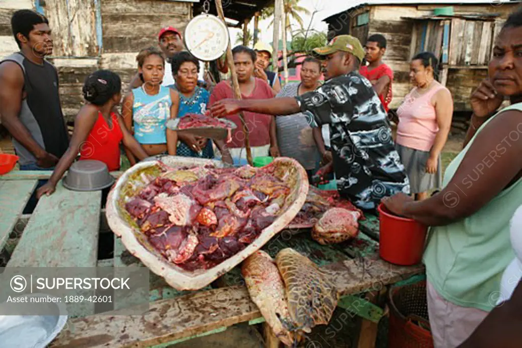 Tasbapauni, Nicaragua; Turtle meat in large turtle shell