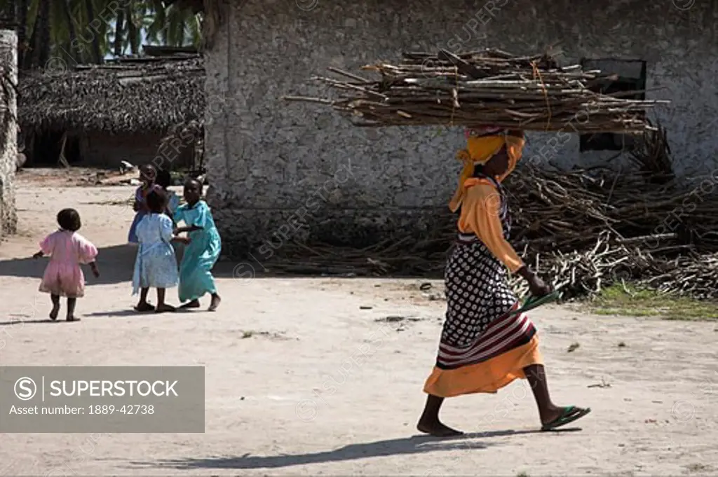 Zanzibar, Tanzania; Woman carrying sticks on head