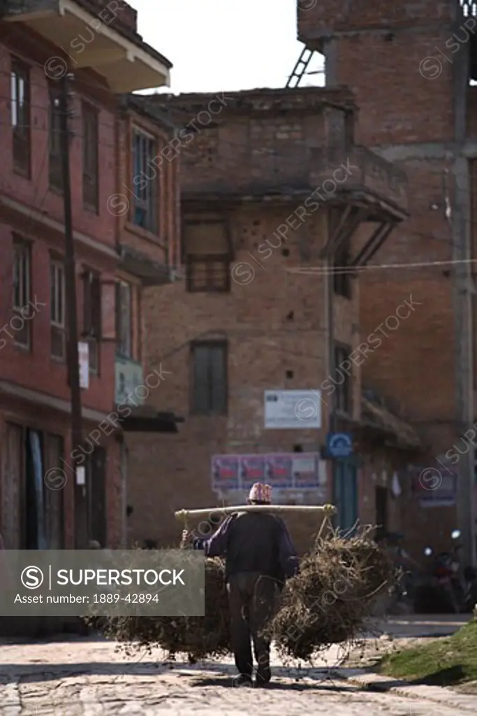 Bhaktapur, Nepal; Man carrying foliage along street