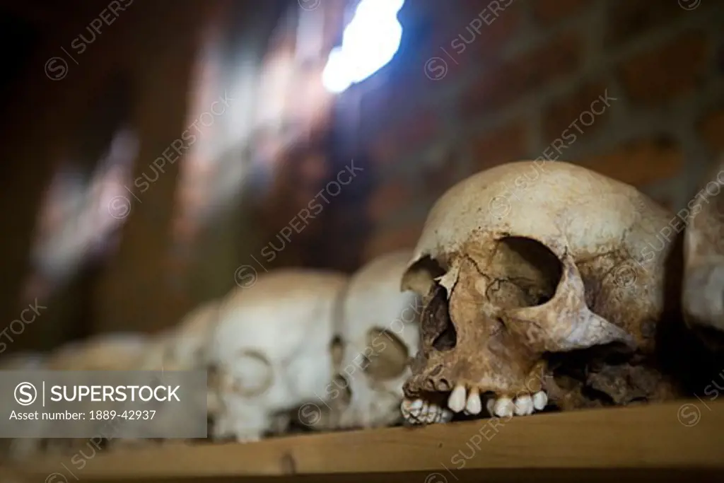 Ntarama, Rwanda; Skulls from Ntarama genocide lined up on shelf in church