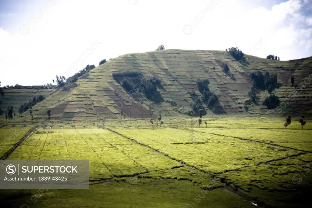 Rwanda, Africa; View of a landscape