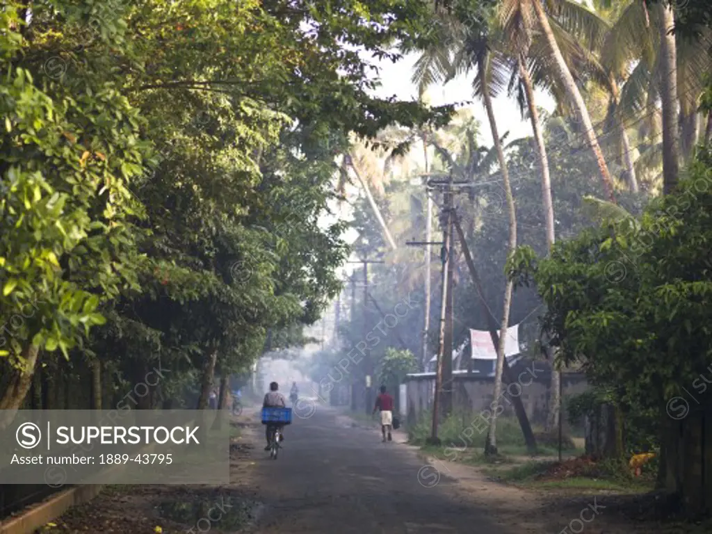 Kerala,India;People walking and bike riding down tree lined residential road