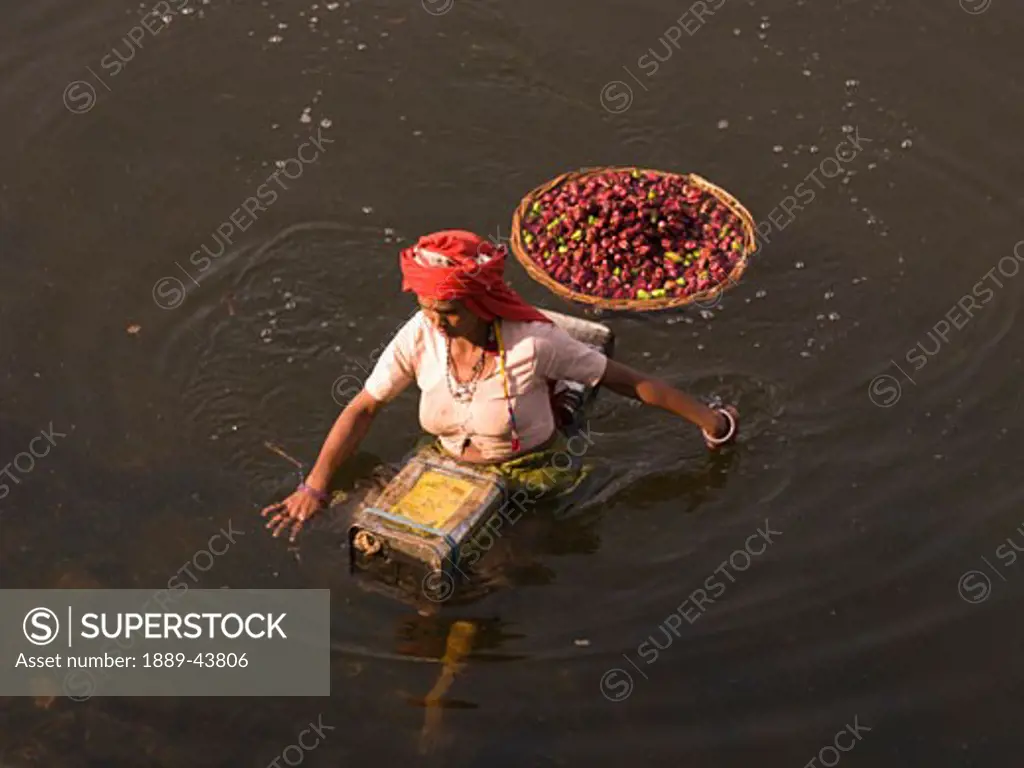 Rajasthan,India;Woman wading through water with a basket and canisters