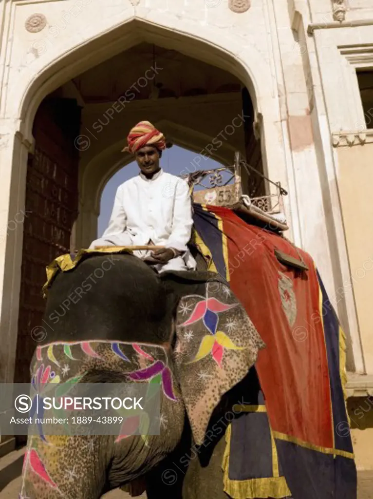 Amber Fort,Rajasthan,India;Man sitting on elephant