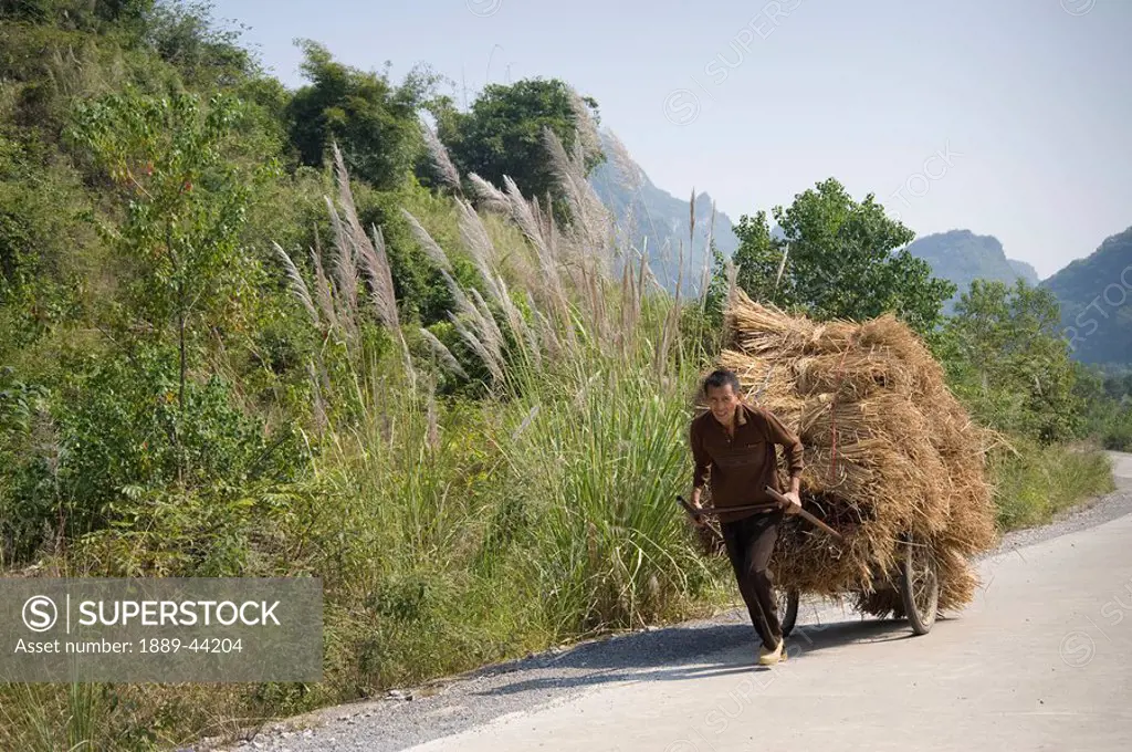 Man carting hay down a road