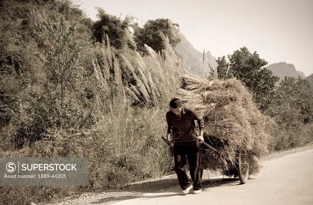 Man carting hay down a road