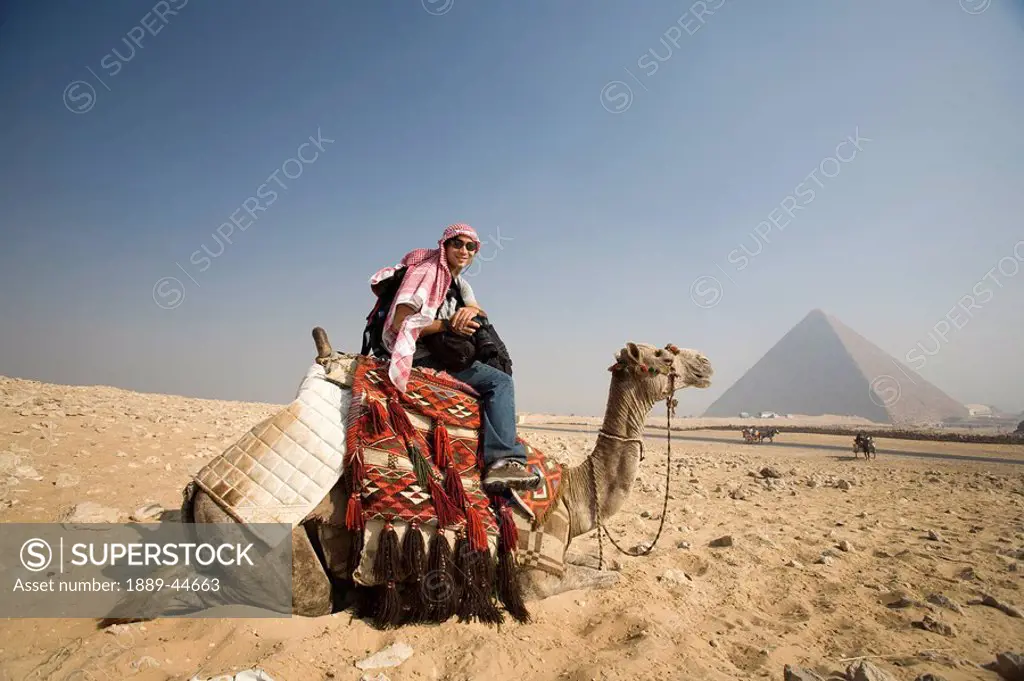 A young man in the desert on a camel with the Pyramid in the background