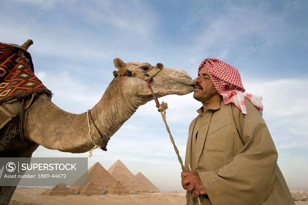 A man in the desert with a camel and the Pyramids in the background