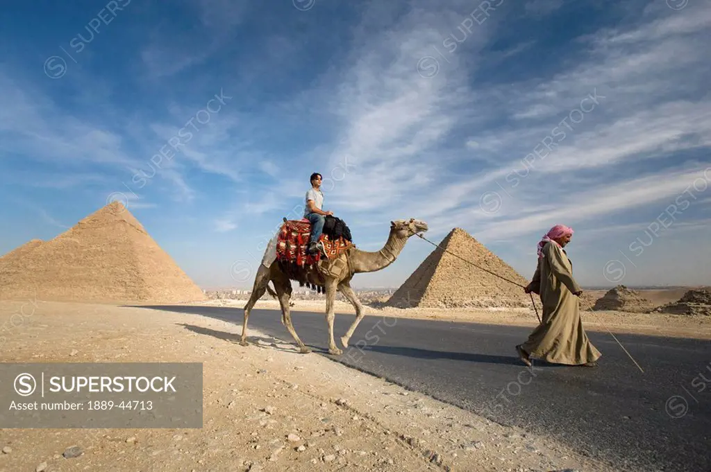 A guide leading a camel and passenger by the Pyramids