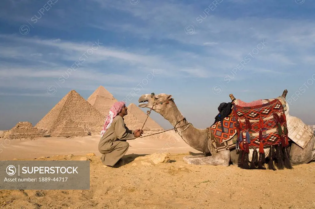 A man and camel with the Pyramids in the background