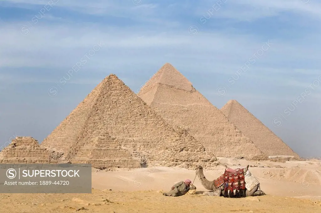 A man and camel with the Pyramids in the background