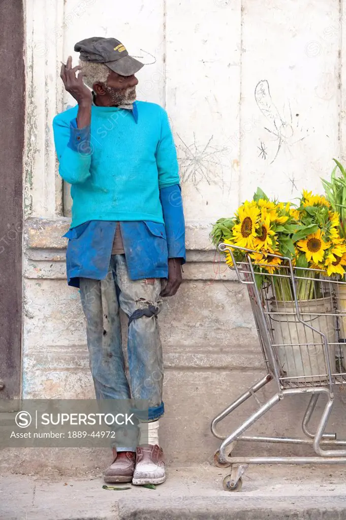 Man with shopping cart and sunflowers in Havana