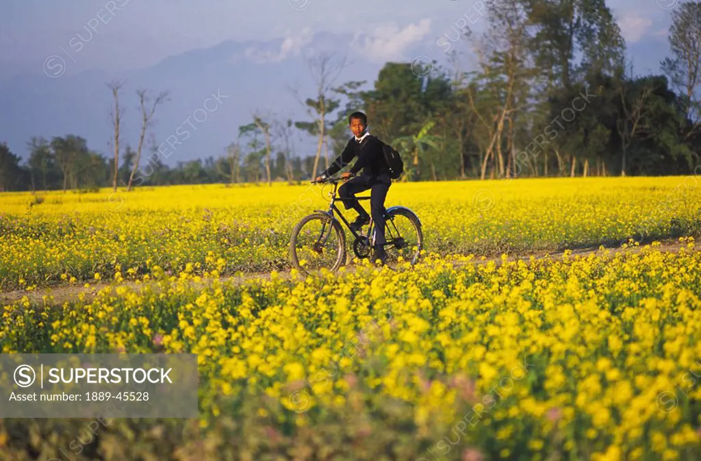 Boy in school uniform riding a bike, Sauhara, Chitwan, Nepal