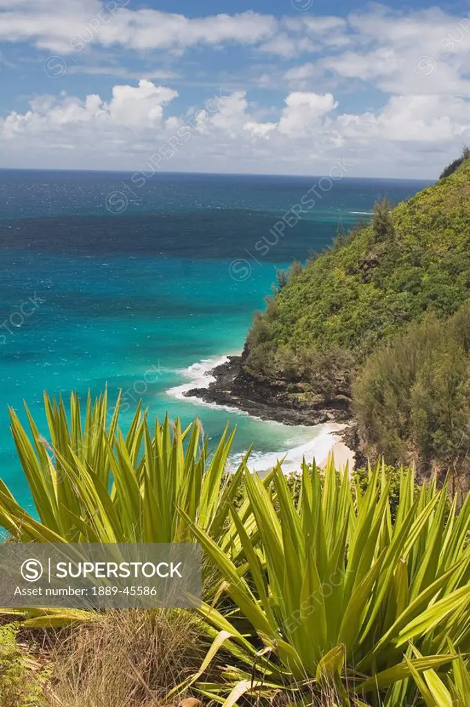 tropical plants and the pacific ocean, north kauai, hawaii