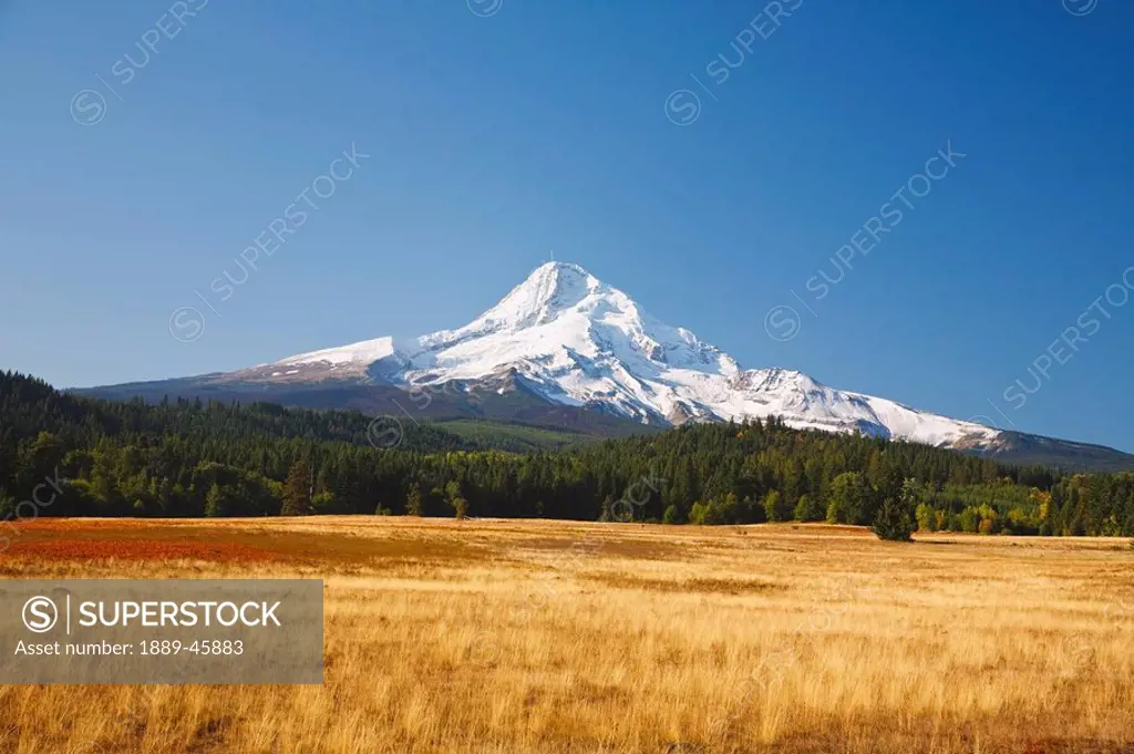 oregon, united states of america, mount hood from hood river valley