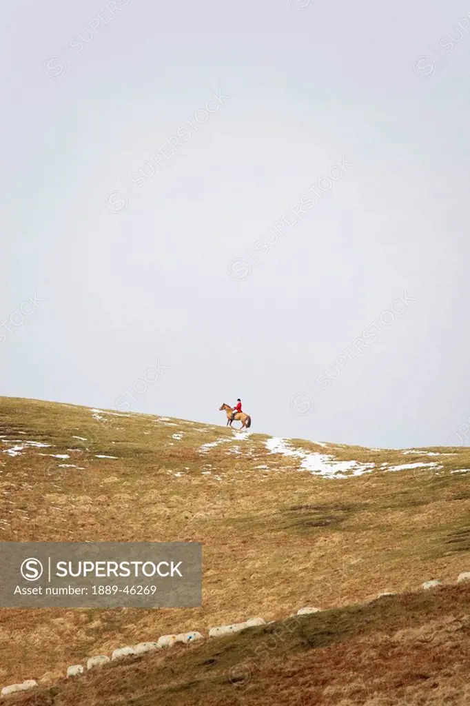 northumberland, england, a person on a horse at the top of a hill with traces of snow