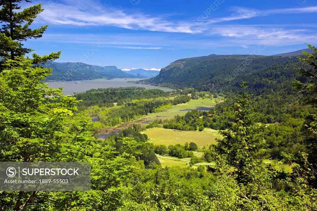view along columbia river old highway in columbia river gorge national scenic area, oregon, united states of america
