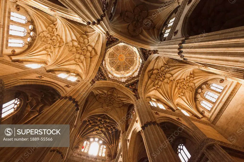 ceiling and dome of the new cathedral catedral nueva, salamanca, salamanca province, spain
