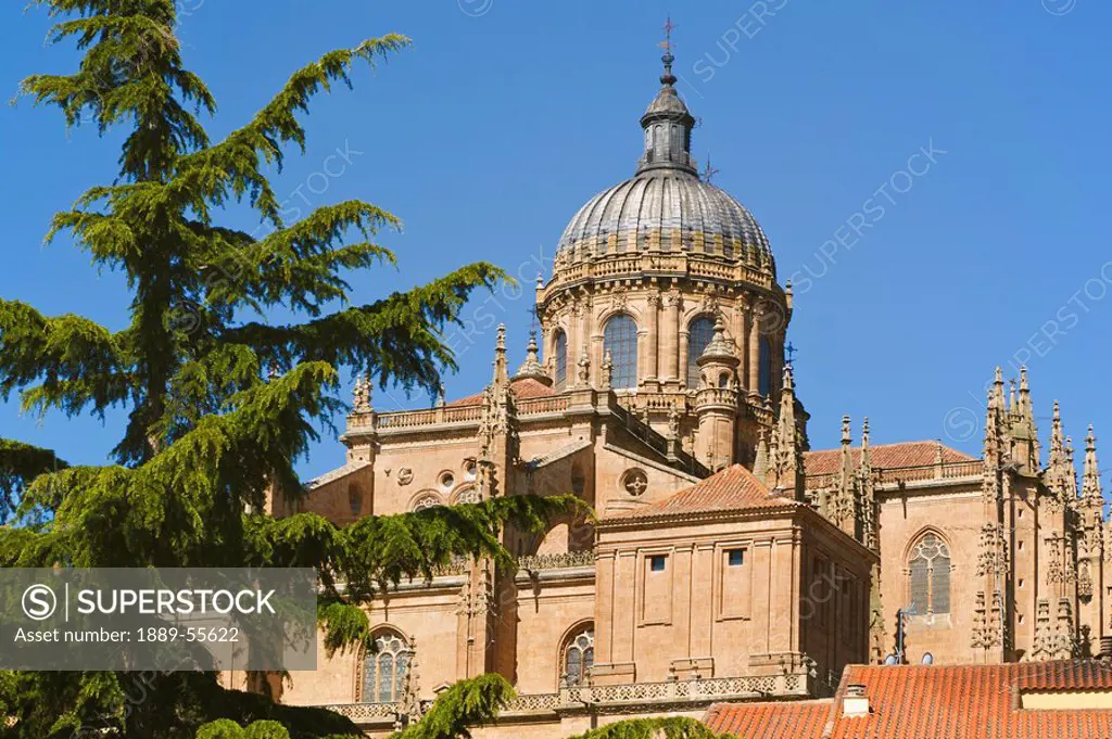 old cathedral and dome seen from plaza concilio de trento, salamanca, salamanca province, spain
