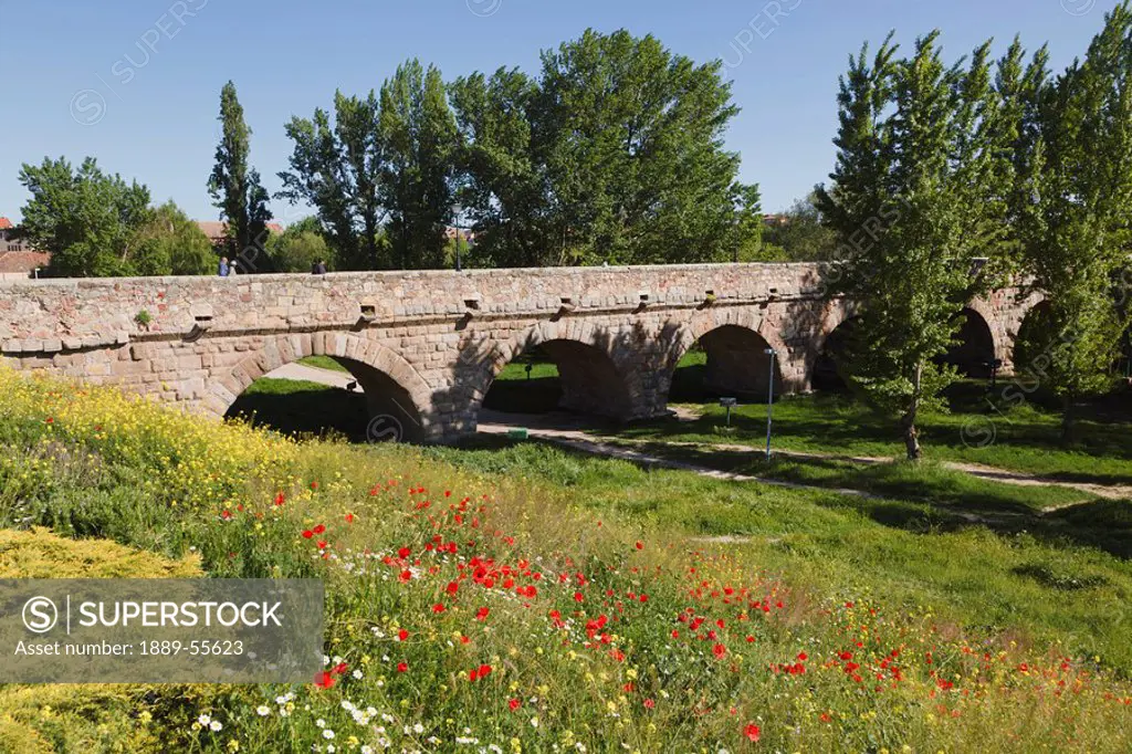 the roman bridge, salamanca, salamanca province, spain