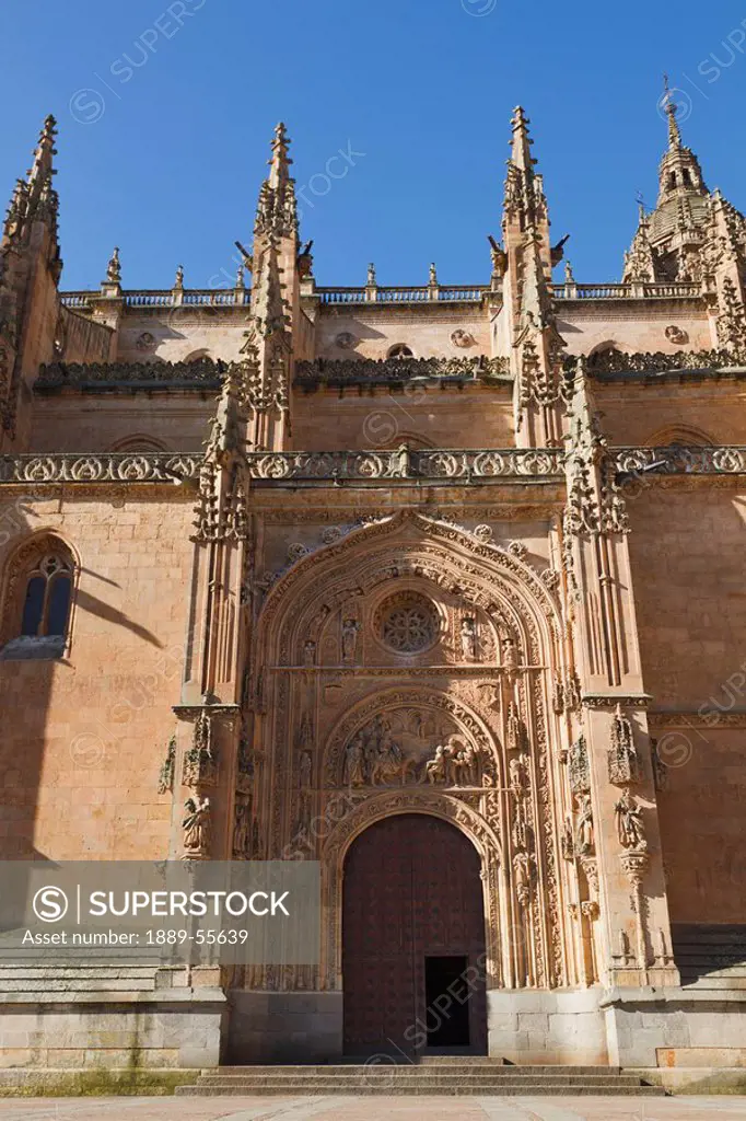 cathedral door on the northern side called puerta de ramos or de las palmas door of the branches of of the palms, salamanca, salamanca province, spain