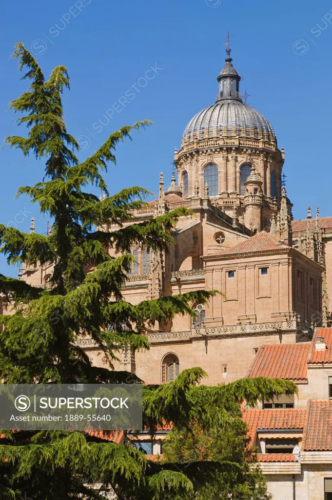 old cathedral and dome seen from plaza concilio de trento, salamanca, salamanca province, spain