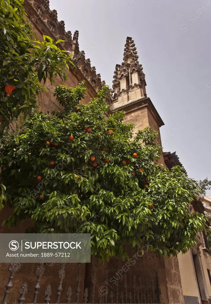 Granada Cathedral, Granada, Andalusia, Spain