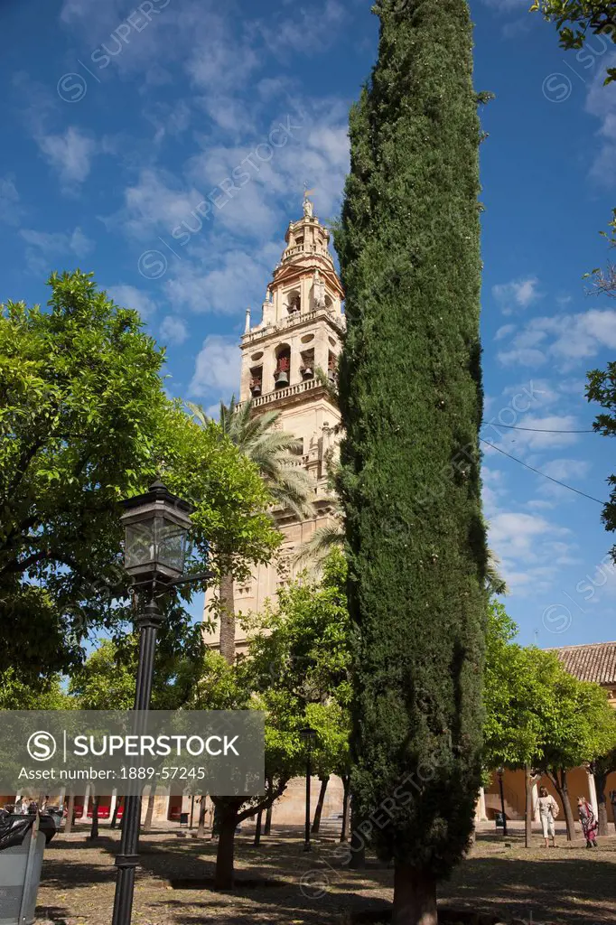 Minaret And Bell Tower Of Cathedral Of Our Lady Of The Assumption, Cordoba, Andalusia, Spain