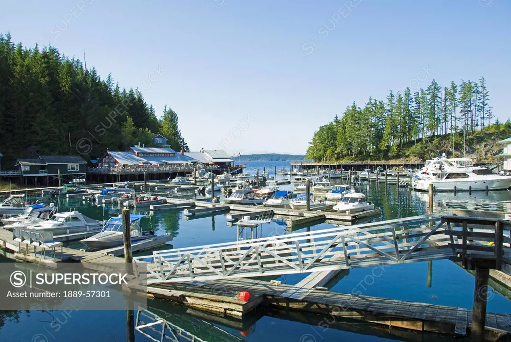 Marina, Telegraph Cove, British Columbia, Canada