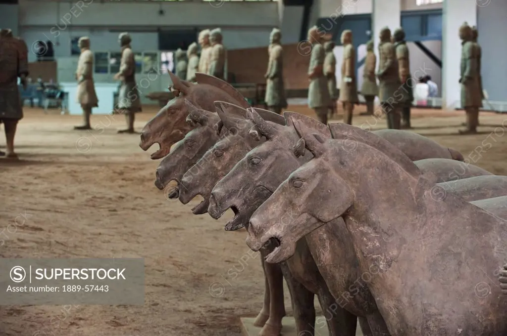 terracotta horses and warriors, xian, shaanxi, china