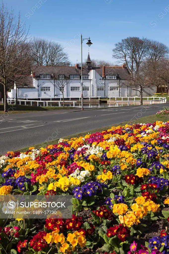 Roadside flowerbed, Tyne and Wear, England