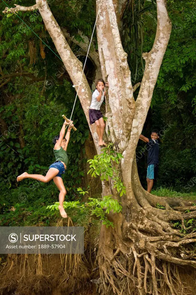 Children swinging over river, La Fortuna, Alajuela, Costa Rica