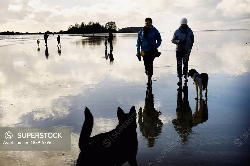 Walking on beach with dogs, Tofino, Vancouver Island, British Columbia, Canada
