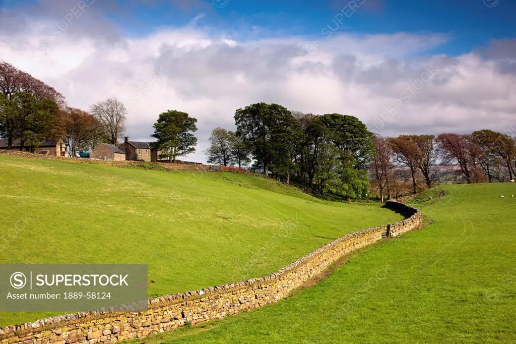 Rustic stone fence, Northumberland, England