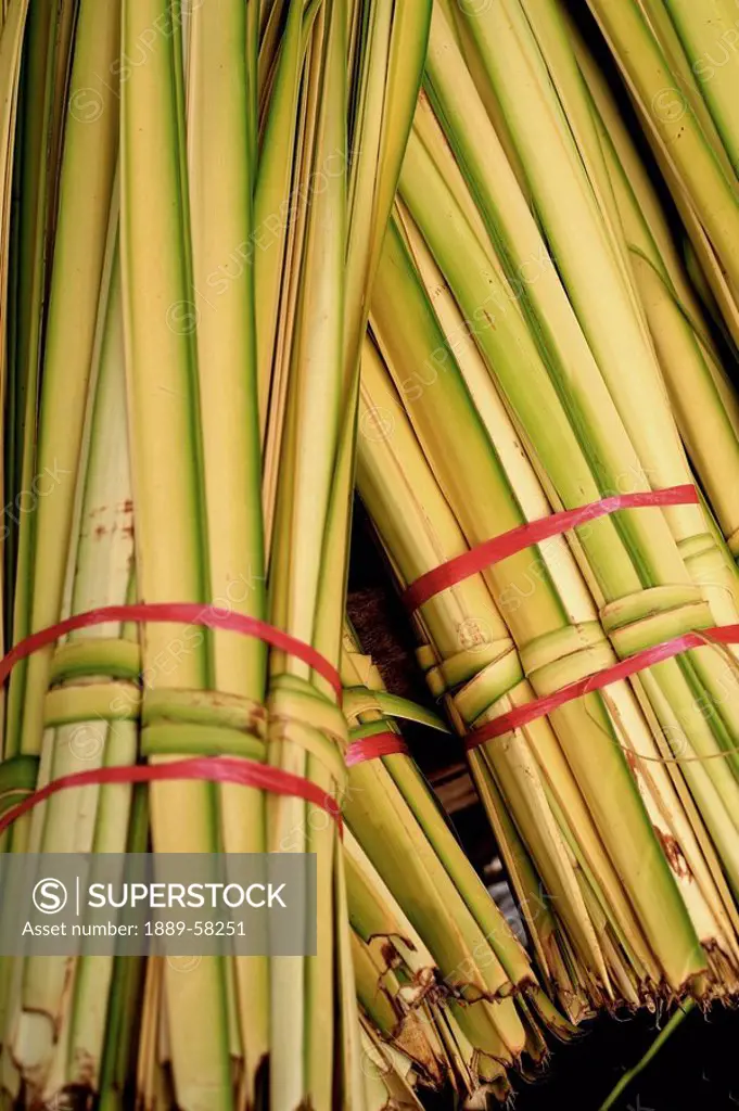 Bundles of reeds