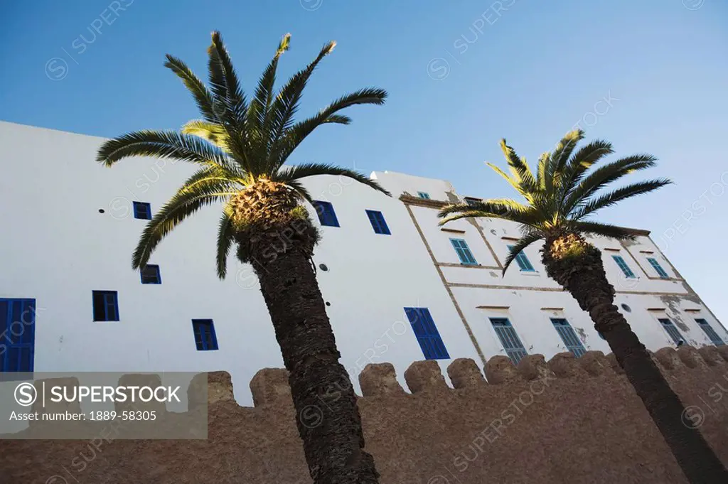 Palm trees and exterior of building, Essaouira, Morocco