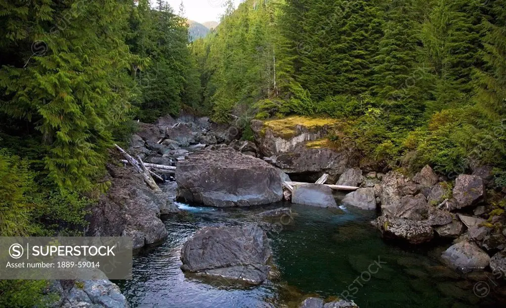 Beautiful river scene, Elk Falls, British Columbia, Canada