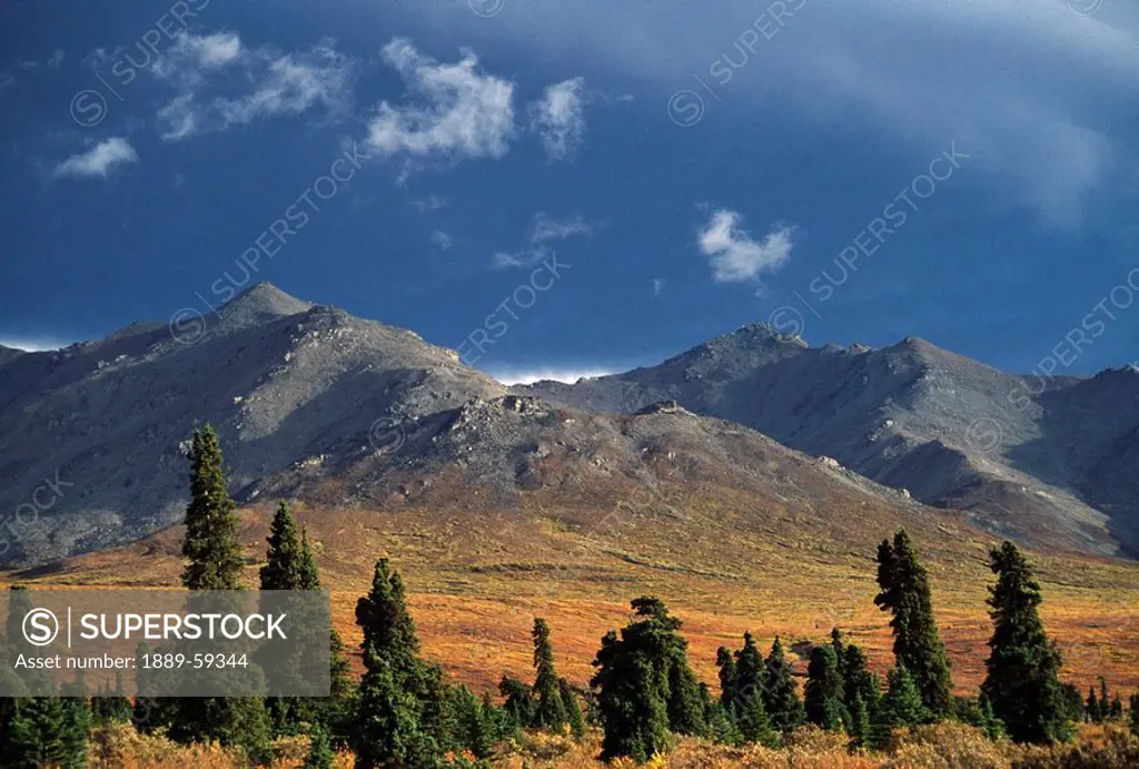 Primrose Ridge, Denali National Park, Alaska, United States of America