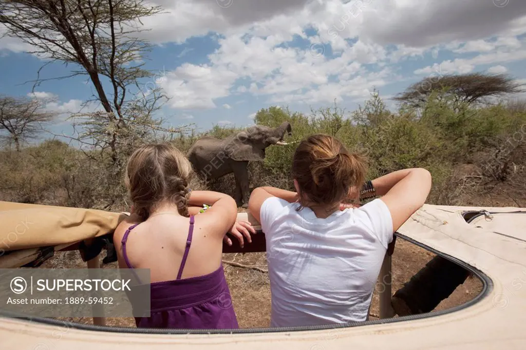 Tourist lookout, Samburu National Reserve, Kenya, Africa